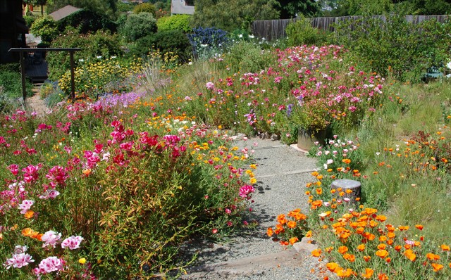 How to Design a Garden for Native Bees