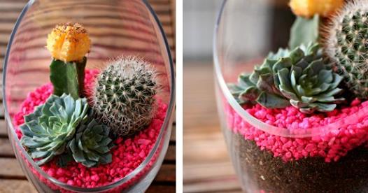 12 Tiny Gardens You Can Grow on a Tabletop